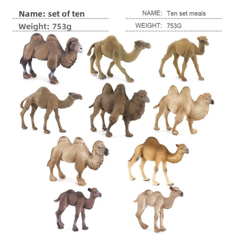 Wildlife Pvc Model Collection With Realistic Desert Camels For Classroom Decor