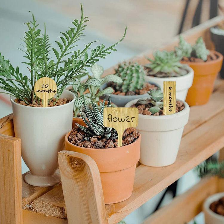Bamboo Gardening Plant Labels & Succulent Flower Stakes