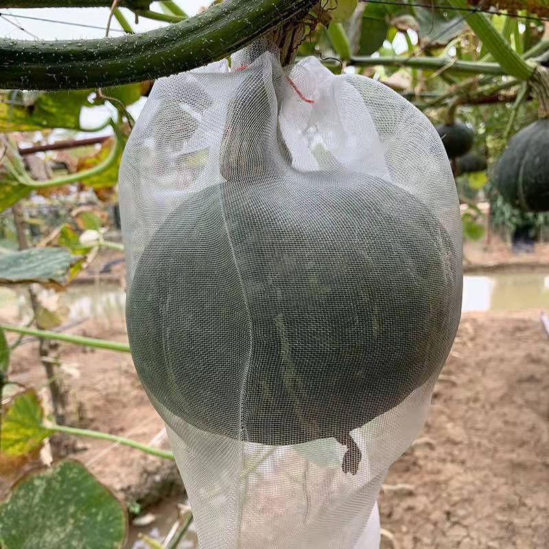 10/100Pcs Orchard Fruit Planting Protection Bag Insect and Bird Proof Fruit and Vegetable Growth Bag Garden Accessories