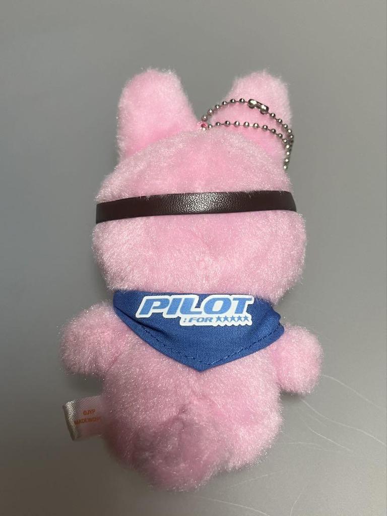 [USED] Stray Kids Seoul Fanmi PILOT Plush Toy 10cm Toekki
