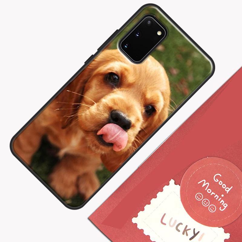 Cavalier King Charles Spaniel Dog Phone Case For Samsung Galaxy S26 S25 Ultra S20 S21 S22 S23 S24 S10 Plus S25 FE Cover Shell