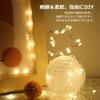 Lighting EVER LED String Fairy 20 Warm Waterproof Copper Christmas Decorative Christmas Tree 16 Button Cell Batteries Included Lights,