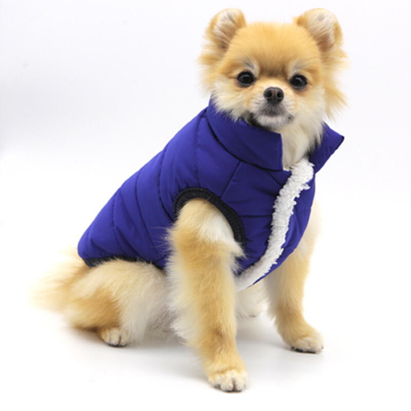 Doggy padding, dog padding, dog winter clothes Red