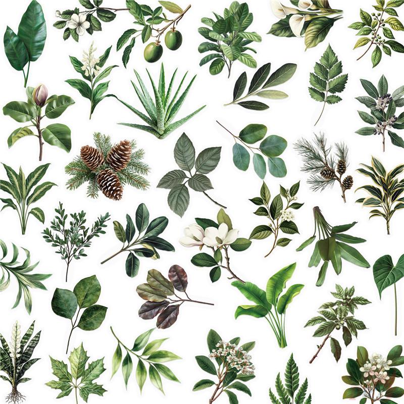 50Pcs/Set Green Leaves Series 02 PET Stickers Waterproof DIY Fashion Doodle Decals Stickers