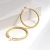 Exaggerated Metal Minimalist Geometric Hoop Earrings Fashionable High End Large Earrings For Women