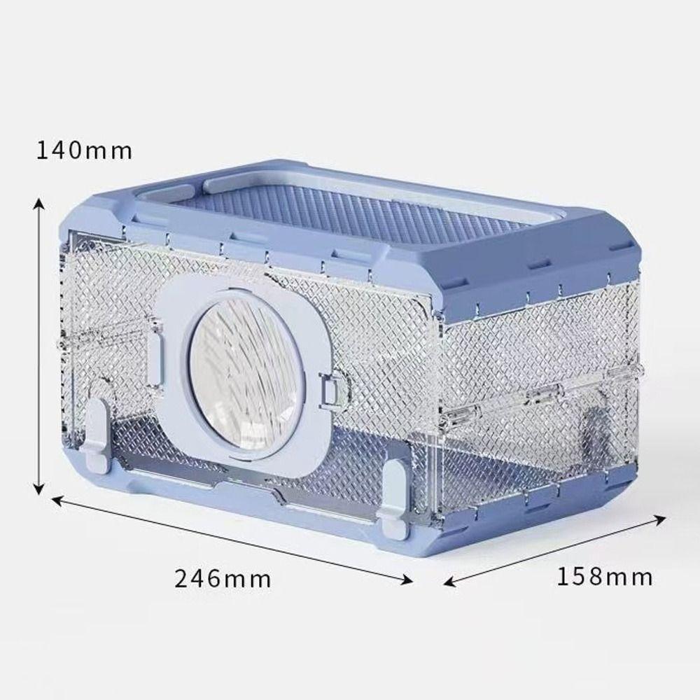 Transparent Hamster Cage Five Times Magnification Breathable Feeding Cage Foldable Ventilated Insect Observation Box