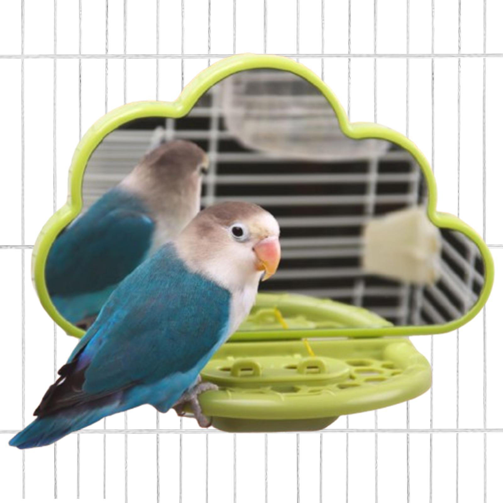 

Parrot Bird Mirror Toy Chewing Stick for Birds Easy to Clean Swing Toy Bird зелёный