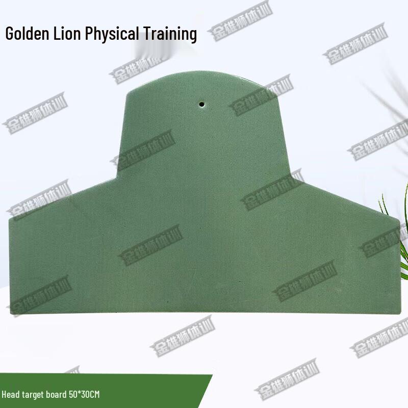 Golden Lion Training Target Board
