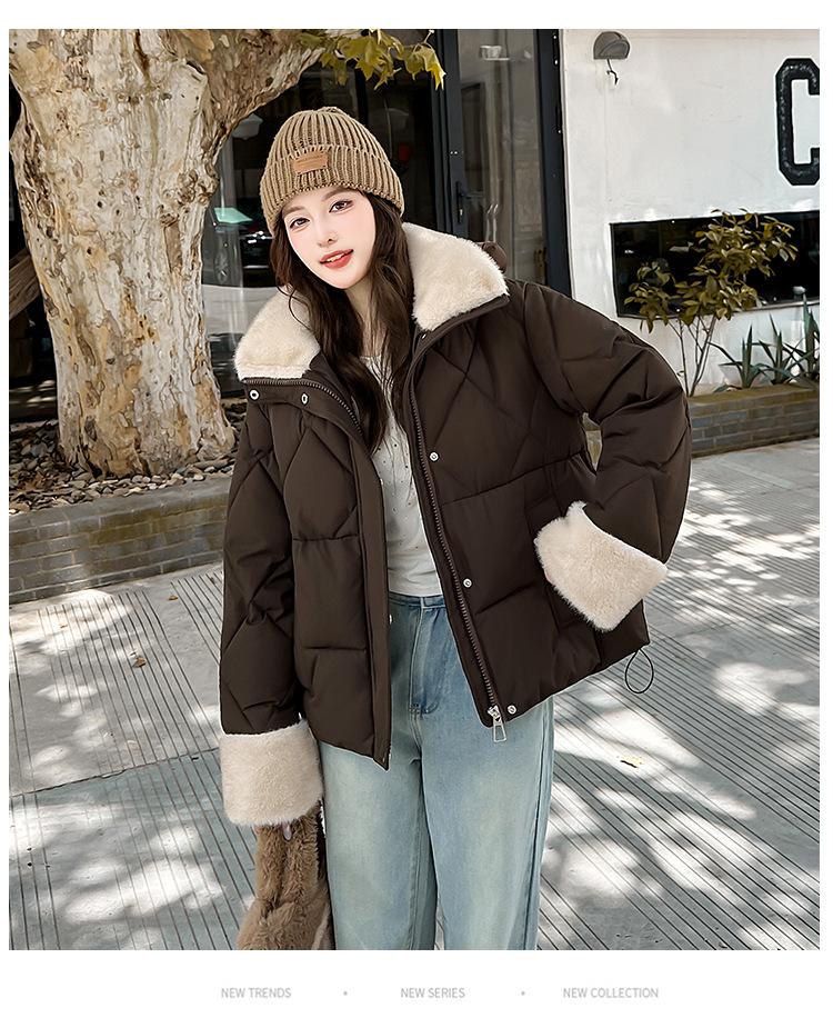 Tjock Varm Jacka med Avtagbar Huva och Kort Pälskrage