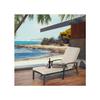 Chaise Longue De Jardin Avec Coussin En Coton, Chaise Longue De Piscine En Aluminium Antirouille,coussin Beige Imperméable (1 Pièce)