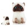 This Ragdoll Cat Plush Toy Makes a Great Gift. Its Soft Texture Makes It a Cool and Stylish Gift. It's a Cute, Lifelike Plush Toy That Looks Just