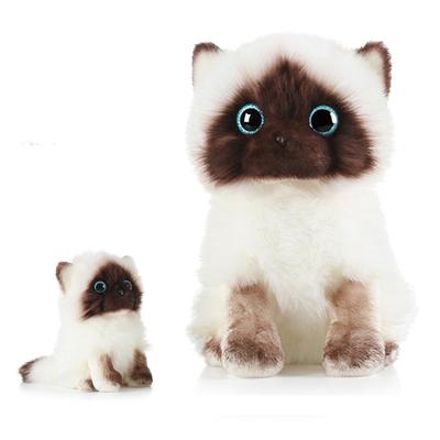 Dieses Ragdoll-Katzen-Stofftier ist ein tolles Geschenk. Seine weiche Textur macht es zu einem coolen und stilvollen Geschenk. Es ist ein süßes, lebensechtes Plüschtier, das genau so aussieht