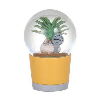 Dalton Snow Globe Boufan Cactus Garden Present Height 10cm Width Depth PLANTS WATER GLOBE BOOPHANE #003 6.5cm 6.5cm NB-0676/003