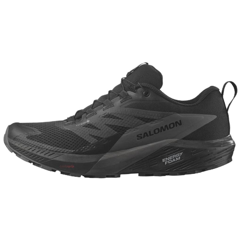 Salomon Sense Ride 5 GORE-TEX Black Magnet Men Sneakers L47147200