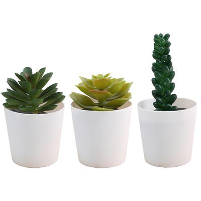 Desktop Succulent Set Simulation Plant Decor Home Office Decor