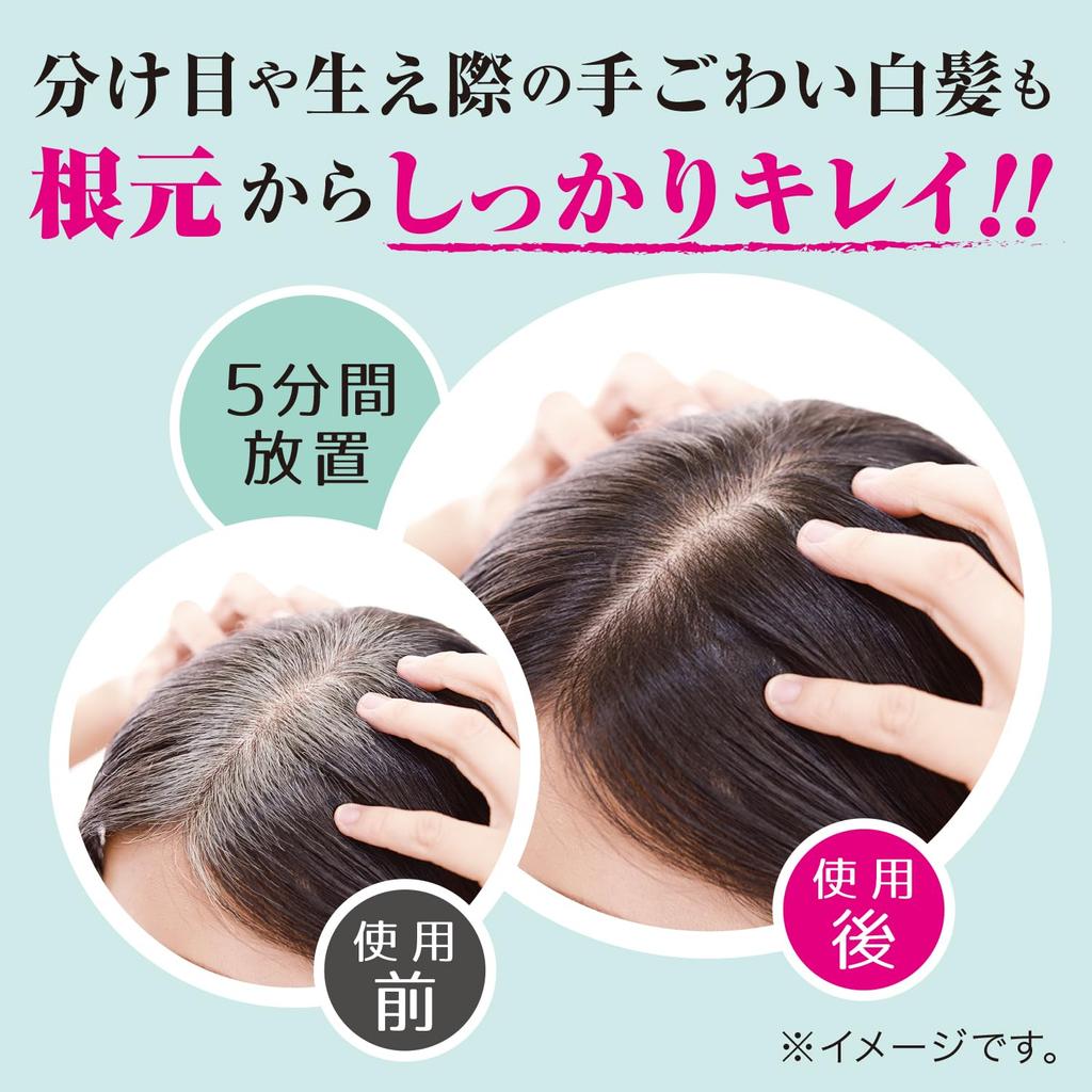 Tenstar Henna Color Treatment with Coloring Cap and Point for Gray Hair Made in Soft 250g x 2 Bottles Brush, Dye, Japan, Black,