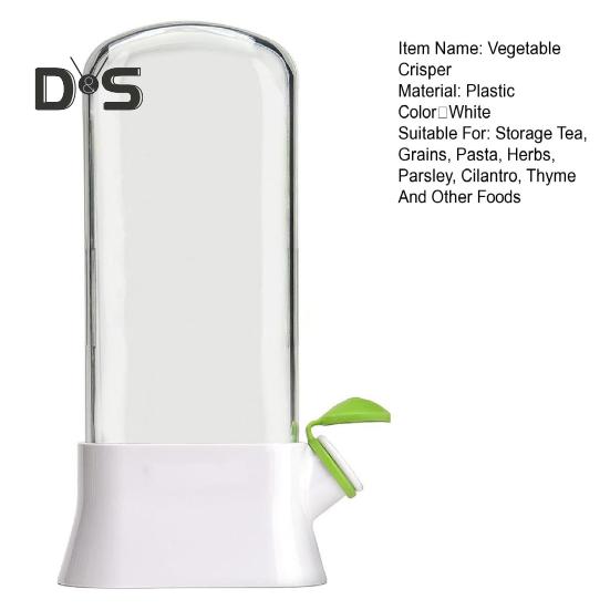 Vegetable Crisper Storage Container Easy-drain Anti-shattering Herb Saver Bottle Airtight Plastic Preserving Keeper for Kitchen Storing Cilantro