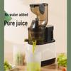 Lei De Zhu Electric Juicer: Large-Caliber, Automatic Juice & Pulp Separator for Fruits & Vegetables