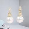 Exquisite Korean Niche Design Earrings, Exquisite Fashion, Light Luxury, and Full of Pearl Earrings