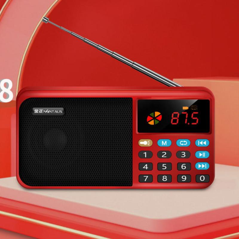 Tragbares Mini-FM-Radio, kabellose Bluetooth 5.0-Lautsprecher, TF, USB, LED-Blitzfunktion, unterstützt 3,5-mm-Kopfhörer, MP3-Player
