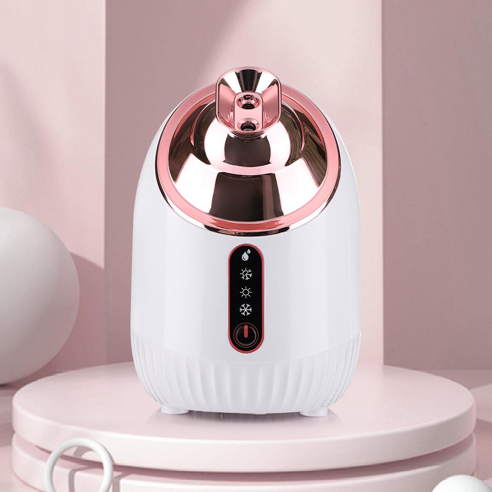 Face Steamer 3in1 Face SPA Nano Mist Sprayer Facial Steamer Facial Cleansing Sprayer Intelligent Beauty Salon Skin Moisturizing