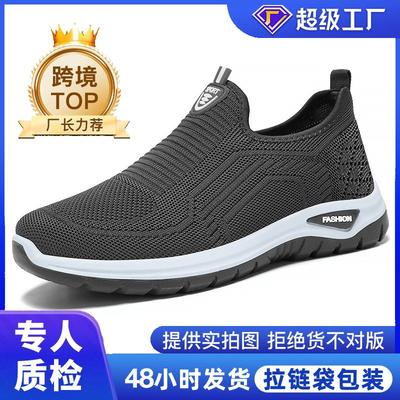 Shoes Men's Autumn New Hs Men's Shoes Mesh Breathable Single Shoes Large Size Walking Shoes