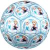 Elsa Theme Size 5 Soccer Ball, Suitable for Both Indoor and Outdoor Matches, a Gift Suitable for Everyone.