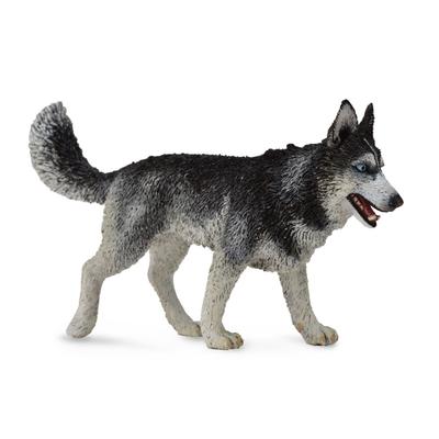 CollectA Sibirya Husky Figürü (Büyük)