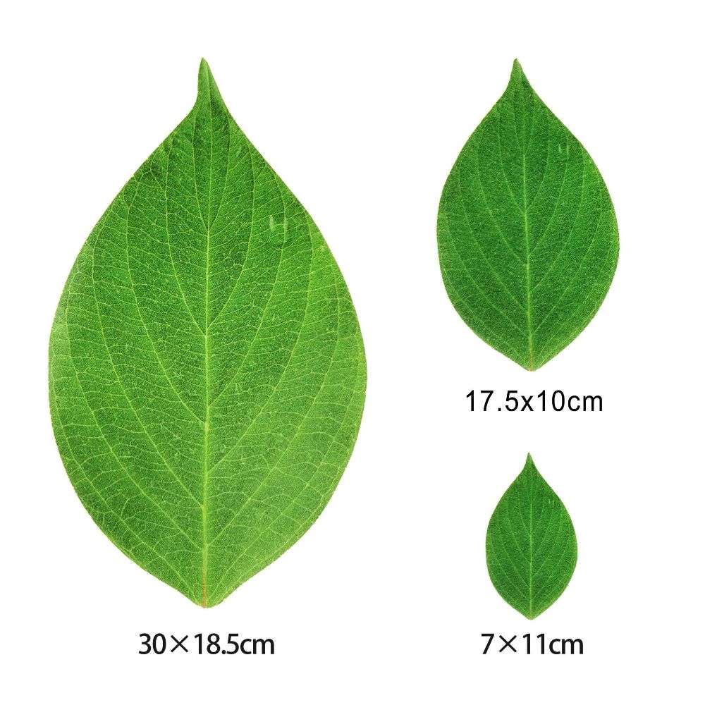 30PCS Food Contact Safe Food Serving Mats Printed Green Leaf Greaseproof Paper Mats for Seafood