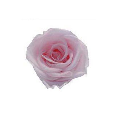 P-1 21 Preserved Roses in a Box Wedding Decor Floral Arrangements Wedding Dried Flower Home Decor Baby Shower Flowers 2~3cm