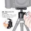 SWFOTO Compatible 25mm Ball High Load Capacity Low Center of Ball Head with Plate Arca-Swiss Head, (5kg), Gravity, Arca-Swiss XB-25