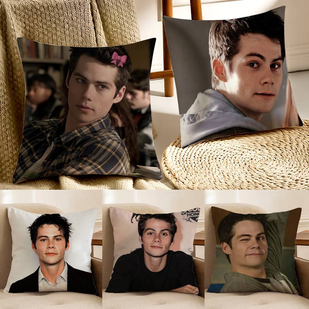 D-Dylan O Brien Pillow Case Anti-dustmite Invisible zipper Sofa Bed