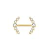 1 Peça Barra de Titânio para Mamilo com Argola Cristal CZ Banhada a Ouro com Escudo Pendurado Barra para Mulheres Piercing de Mamilo com Rosca Interna