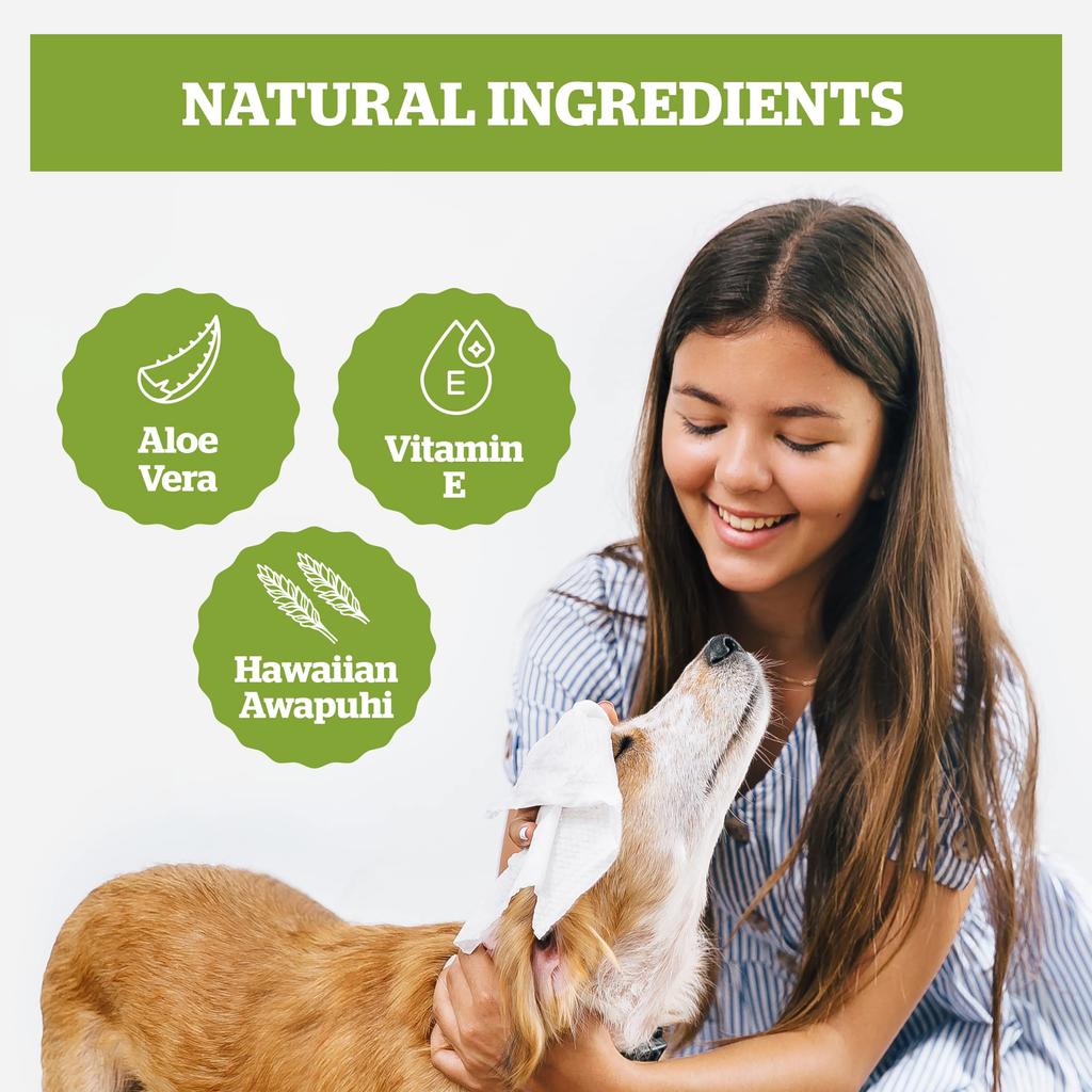 Dog Wipes 400 Pieces For Dogs and Biodegradable Pet Sheets Pogi’s Wipes/Grooming – Cats/Unscented, Hypoallergenic,