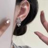 Super Flash Zircon Flower Silver Needle Earrings Women's New Trendy Temperament Niche Light Luxury High-end Earrings Earrings