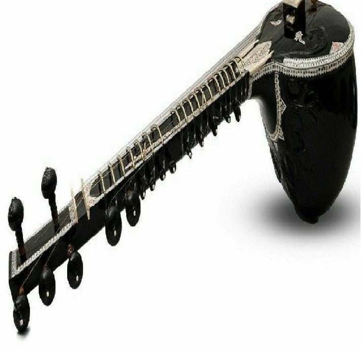 Professional Handmade Sitar with Design Bag – 7 Main & Sympathetic Strings