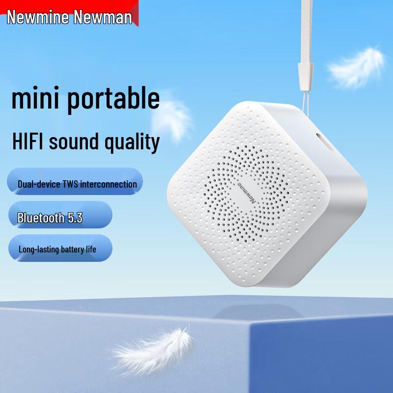 Newmine Portable Wireless Bluetooth Speaker