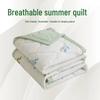 INS Skin-Friendly Washable Cotton Summer Quilt - Brushed Flannel Cooling Blanket for Dorms