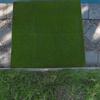 Artificial Moss Lichen Simulation Fake Green Plants for Wedding Patio Garden Office Decoration Mini Landscaping Scenery