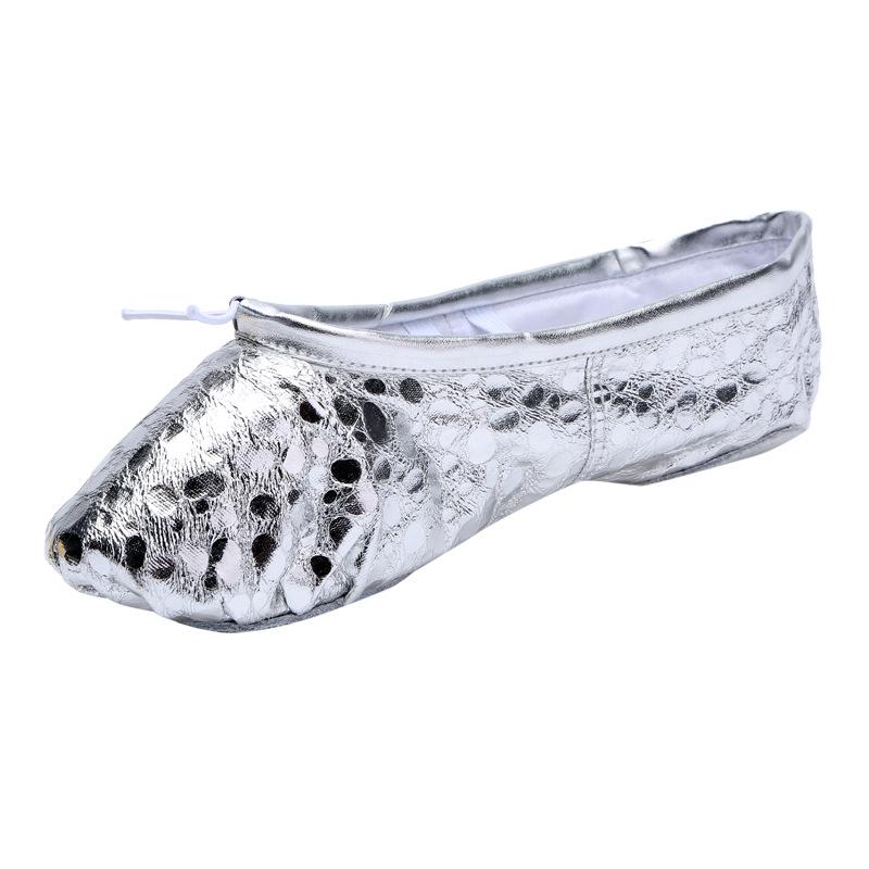 Women's Soft Sole Ballet & Dance Shoes - Gold/Silver, Cat Paw Design