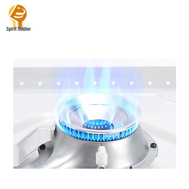 Lingbing Outdoor Camping Gas Stove & Fuel Can