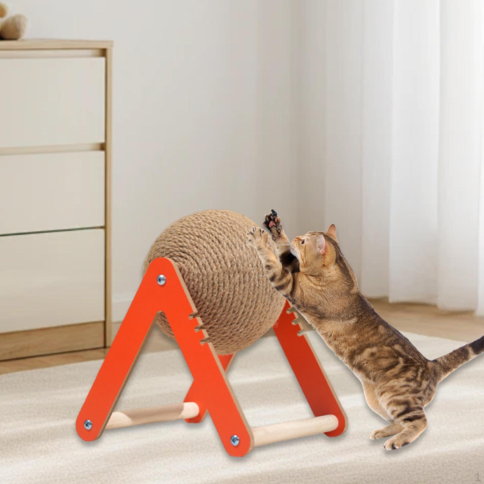 

Cat Exercise Wheel with Scratching Ball for Indoor Use And Furniture Safety Black and S