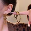 European and American exaggerated leopard print circle earrings women's autumn and winter design stud earrings earrings earrings