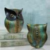 Modern Classy Lucky Owl Resin Art Figure Showpiece -(Pack of 1,Multicolor)