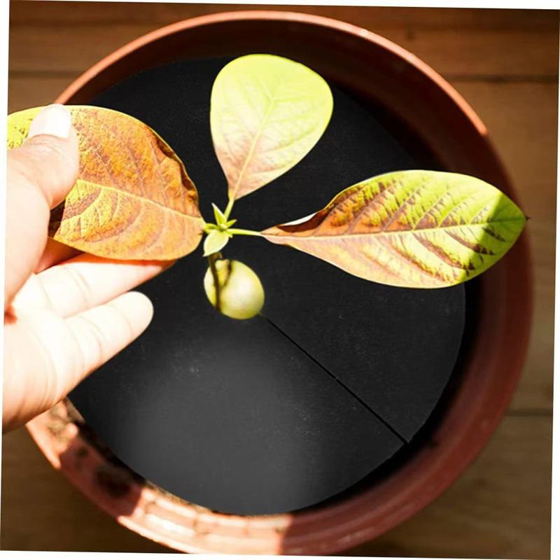 Weed Control Mats Non Woven Tree Rings Mulching Mats for Garden Decoration and Soil Moisture Preservation