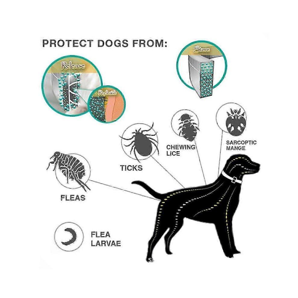Eternal Guardian: Species Specific Fast Acting Flea And Tick Prevention, Calming Pheromone for Medium Large Dogs
