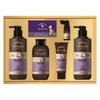 Dr. Groot Hair Gift Set Filled with Dignity and Love