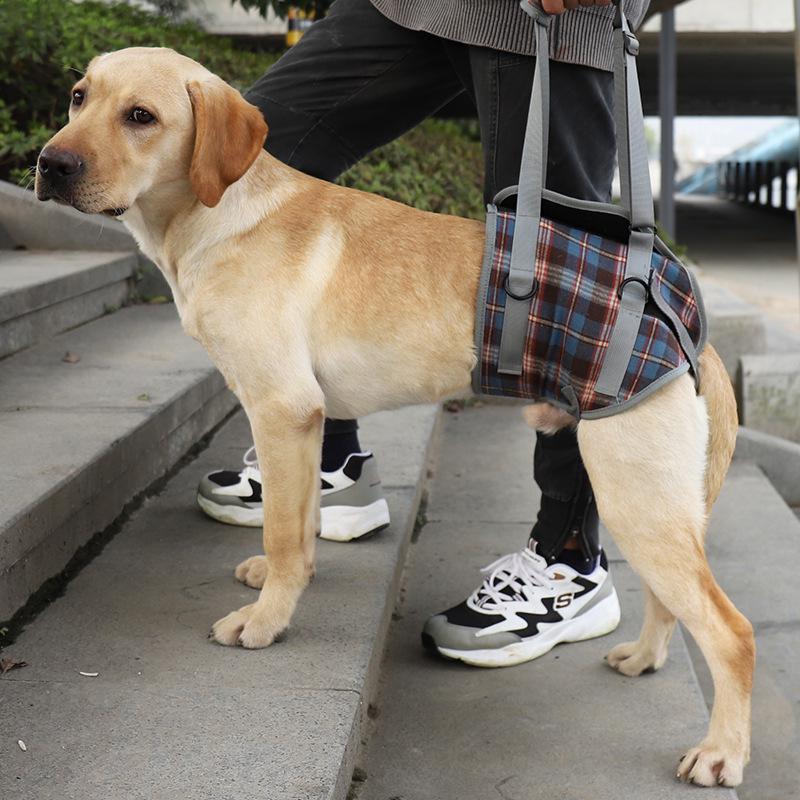 Pet Postoperative & Senior Dog Leg Support Brace