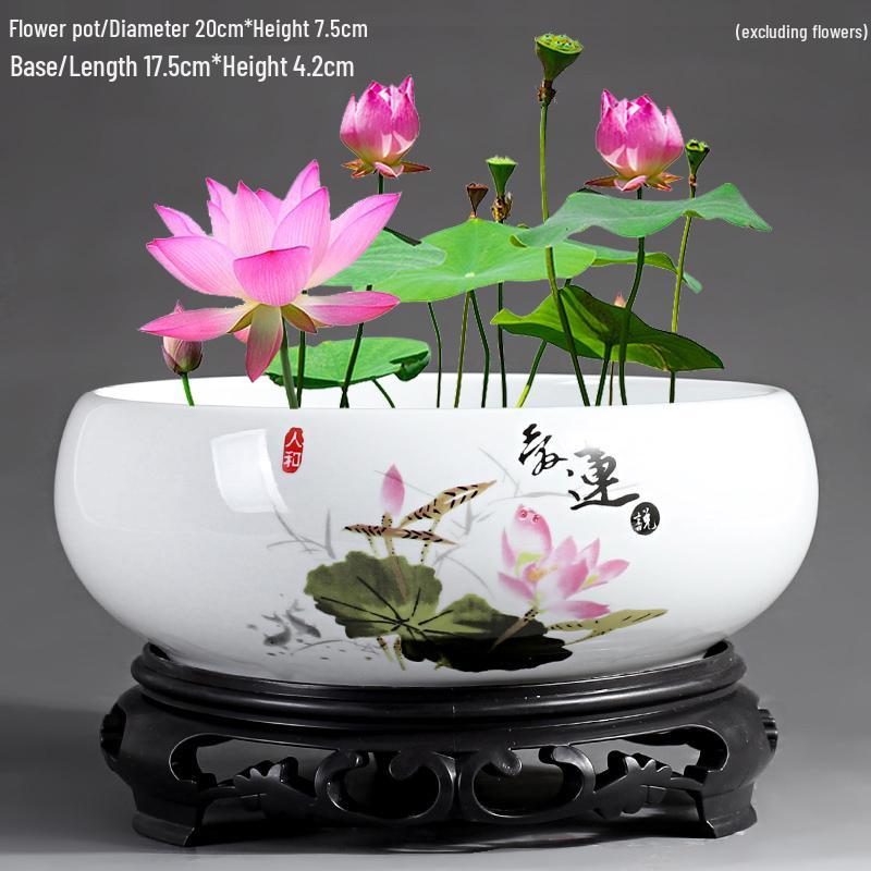 Großer Keramik-Lotus Seerose Hydroponischer Blumentopf ohne Abfluss