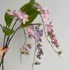 Artificial Jasmine Flower 31" Fake Hanging Flowers Faux Silk Flower Arrangement for Party Home Wedding Decoration